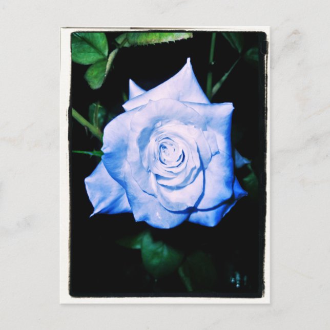 Little Blue Princess Postkarte (Vorderseite)