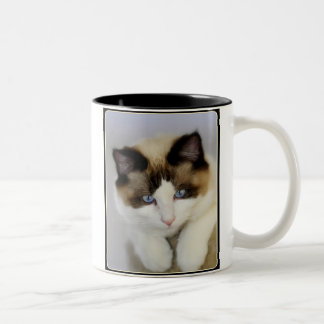 Little Boy-Blau Zweifarbige Tasse