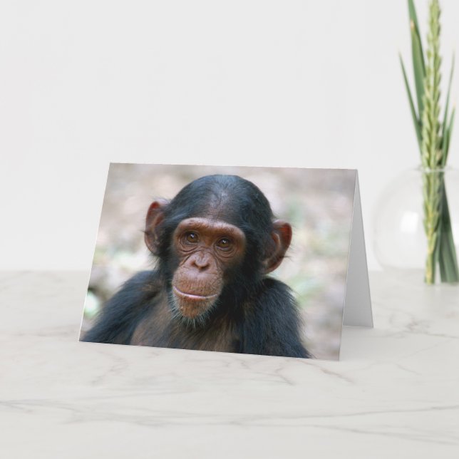 Little Boy Karte (Vorderseite)