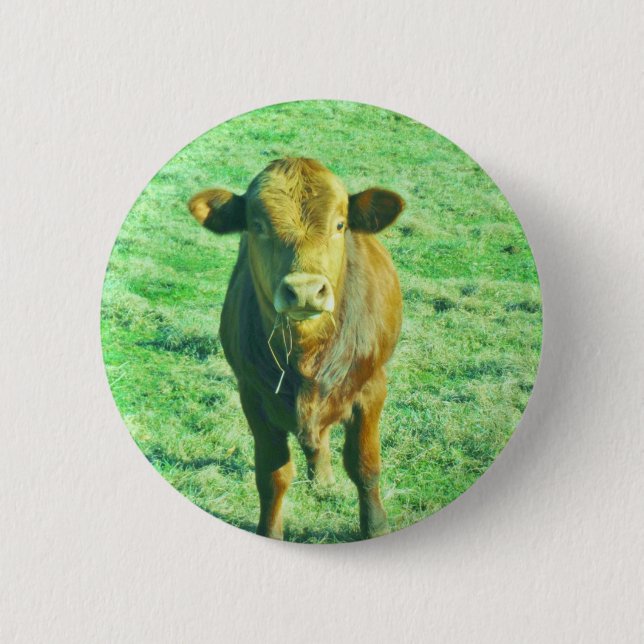 Little Brown Cow in Pastel Green Grass Button (Vorderseite)