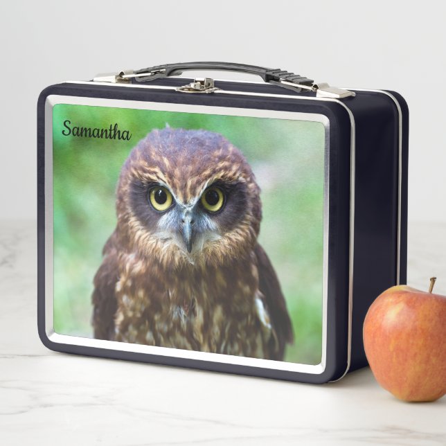 Little Brown Owl Metal Lunchbox (Beispiel)