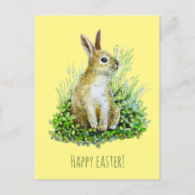 Little Bunny Aquarell Postcard