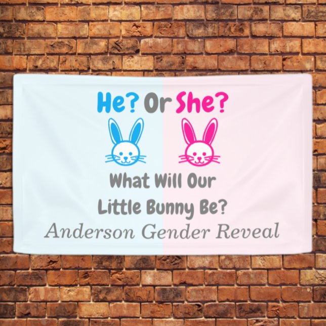 Little Bunny Gender Reveal Banner (Von Creator hochgeladen)