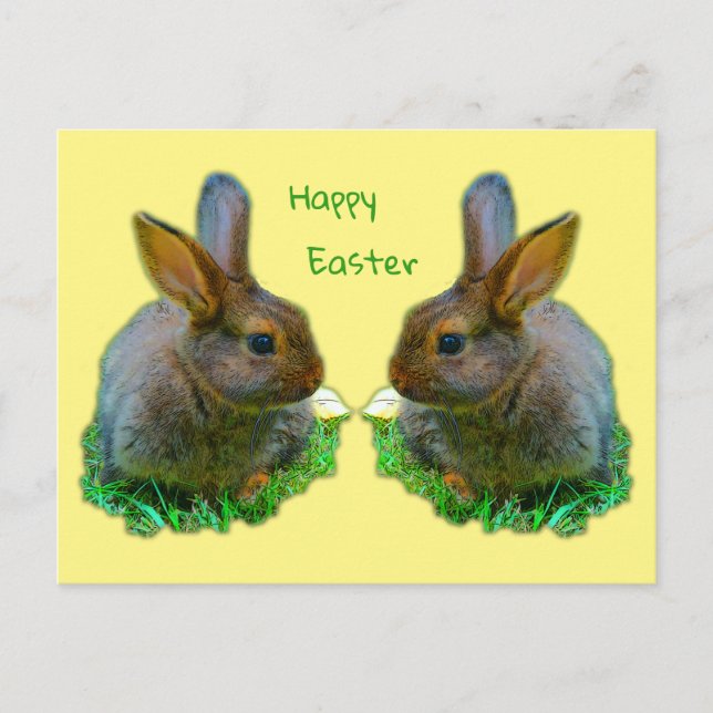 Little Bunny Postkarte (Vorderseite)