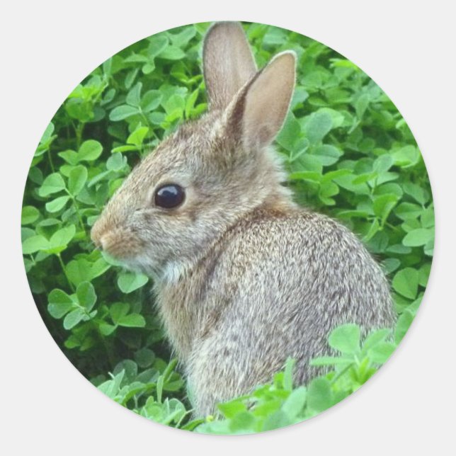 Little Bunny Runder Aufkleber (Vorderseite)