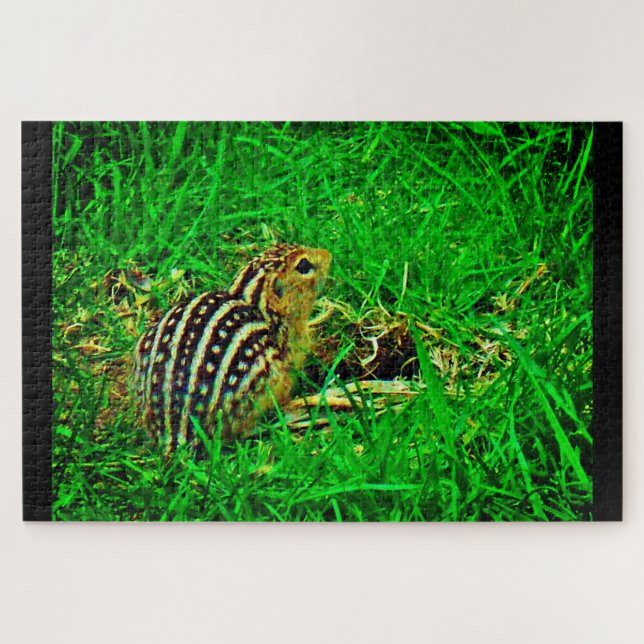 Little Chipmunk (Horizontal)
