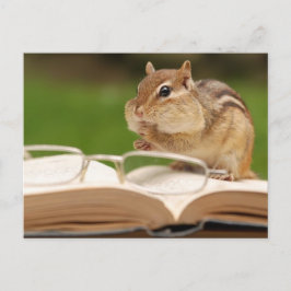 Little Chipmunk Reading Postcard Postkarte