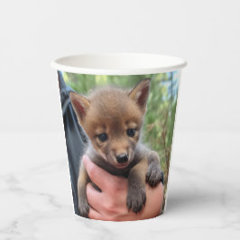 Little Coyote Pappbecher