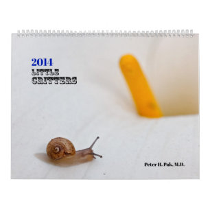Little Critters 2014 Kalender