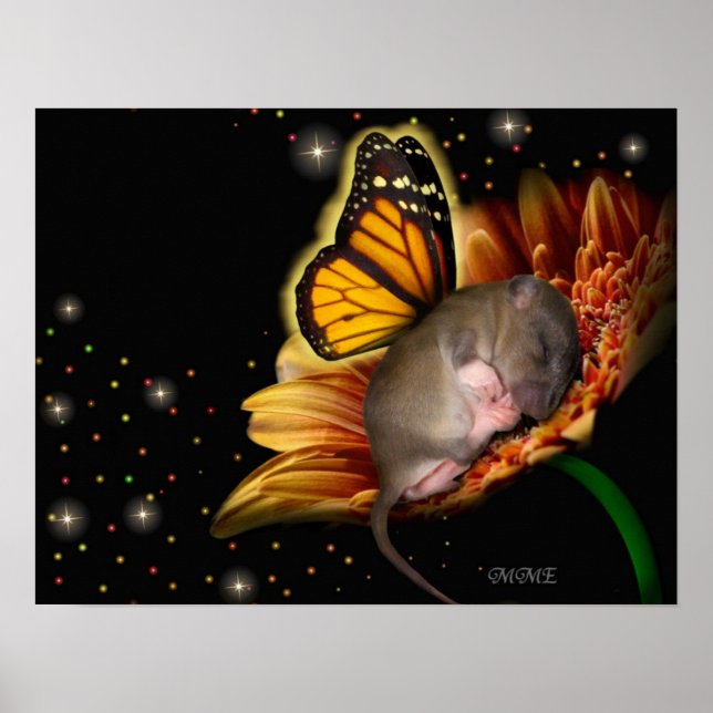 Little Daisy Dreamer Poster (Vorne)