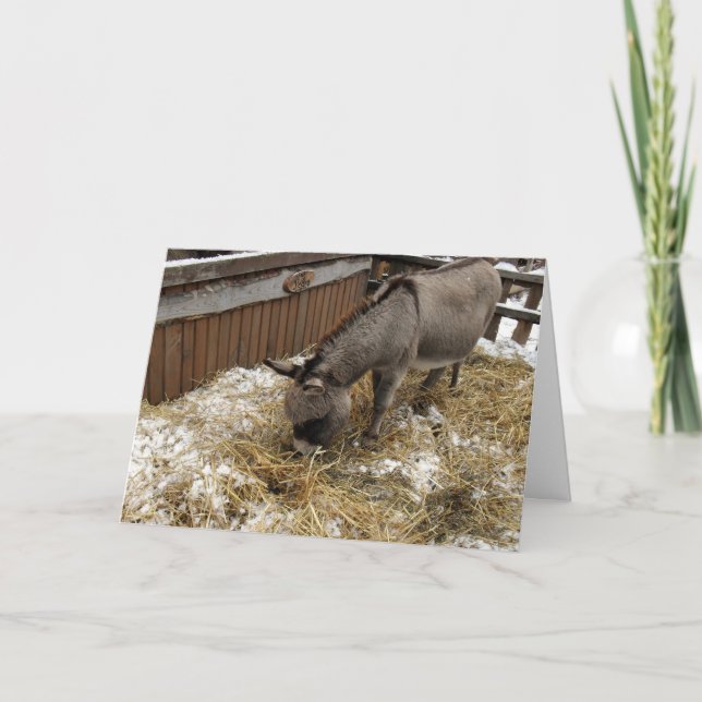 Little Donkey Christmas Feiertagskarte (Vorderseite)