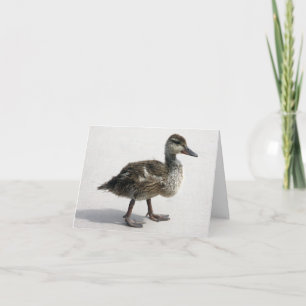Little Duckling Karte
