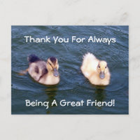 Little Ducklings Postcard