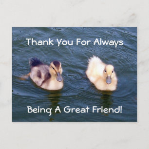 Little Ducklings Postcard Postkarte