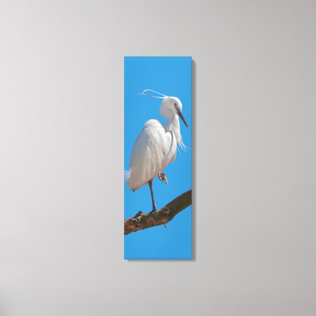 Little Egret Wrapped Canvas Leinwanddruck (Vorderseite)