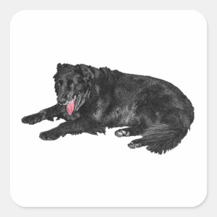 Little Ember, Loyal Black Dog Quadratischer Aufkleber