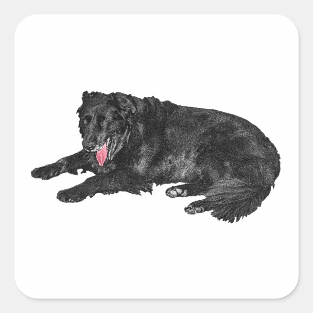 Little Ember, Loyal Black Dog Quadratischer Aufkleber (Vorderseite)