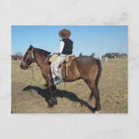 Little Gaucho