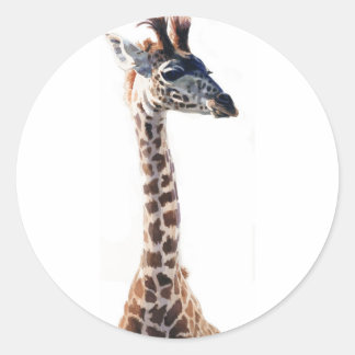 "Little Giraffe" Wildtier Wasserfarbe Runder Aufkleber
