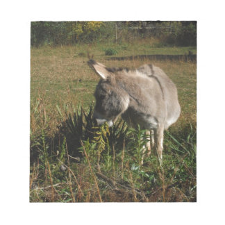 Little gray Donkey w / wildflowers Notizblock