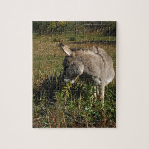 Little Grey Donkey w/Wildblumen