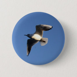 Little Gull Button