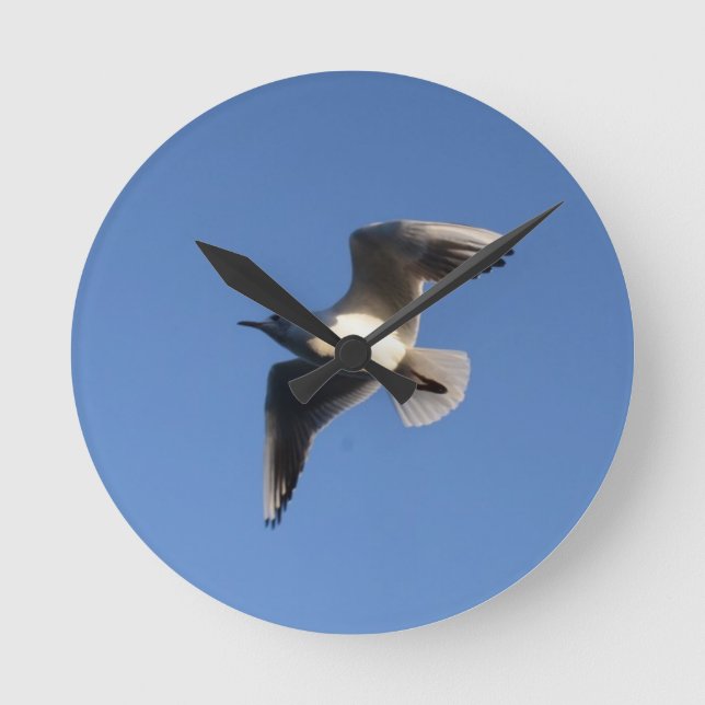 Little Gull Runde Wanduhr (Vorderseite)