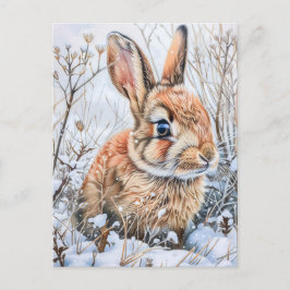 Little Hare in Snowy Field. Rabbit Bunny Postkarte
