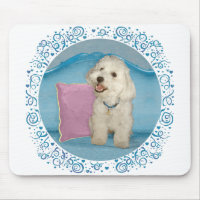Little Havanese auf Türkis Sofa