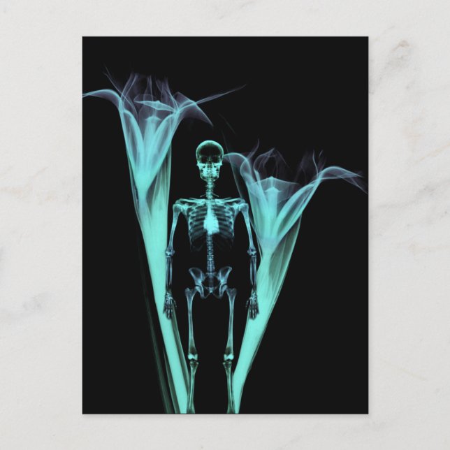 Little Human X-Ray Skeleton & Blume - Aquamarin Postkarte (Vorderseite)