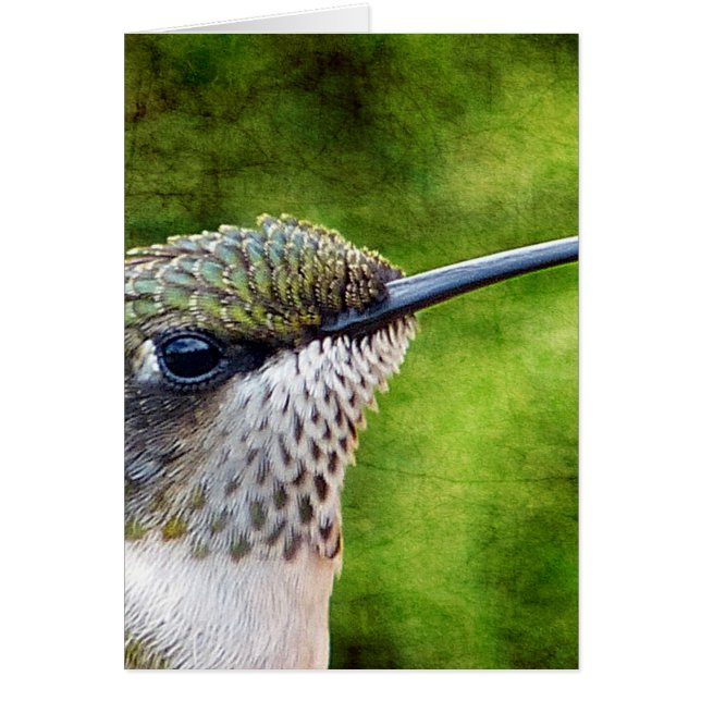 Little Hummer (Vorne)