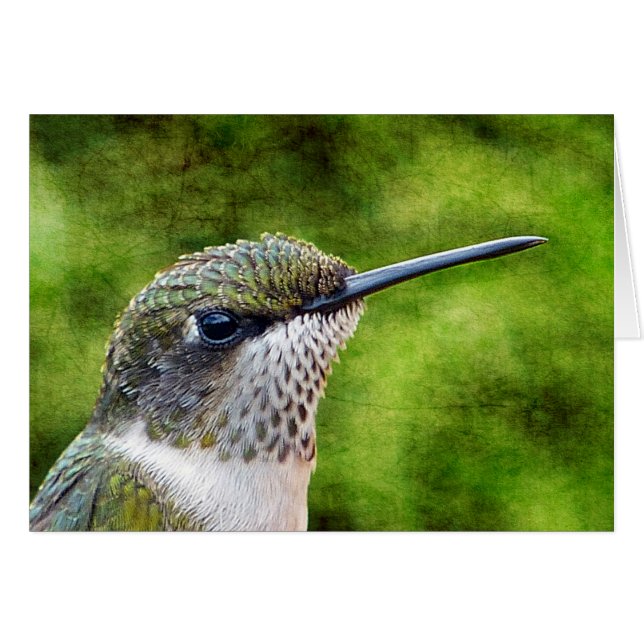 Little Hummer (Vorderseite (Horizontal))