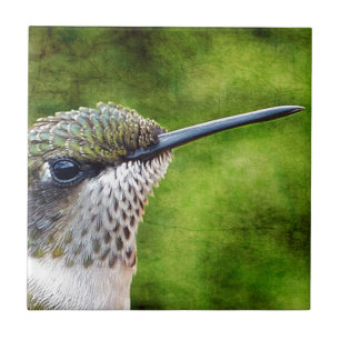 Little Hummer Fliese