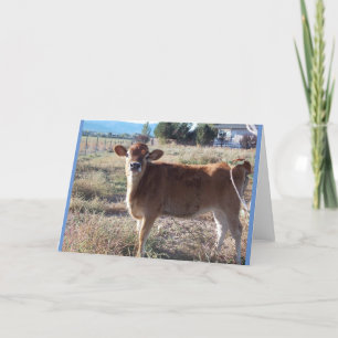 Little Jersey Kuw Greeting Card Karte