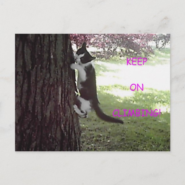 Little Kitten Big Tree Postcard Postkarte (Vorderseite)