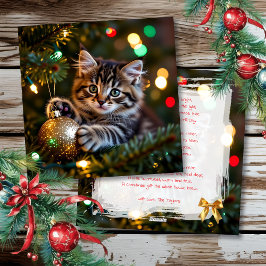 Little Kitten on Christmas Tree Personalized Feiertagskarte