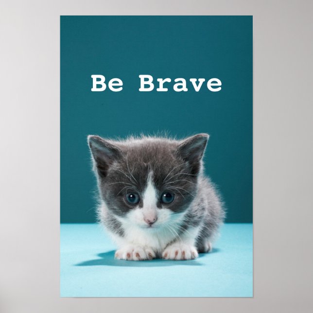 Little Kitten Poster (Vorne)