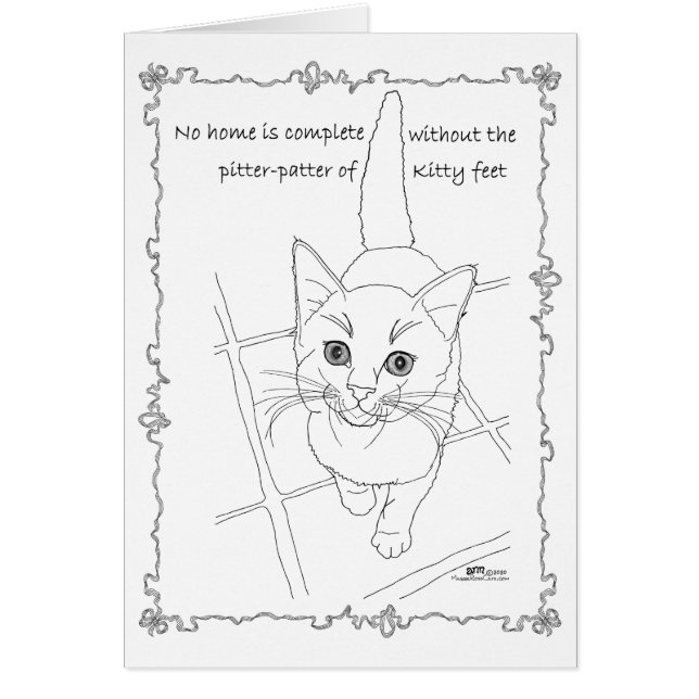 Little Kitty Feet (Vorne)