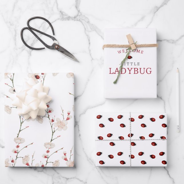 Little Ladybug Pattern Boho Geschenkpapier Set (Vorderseite)