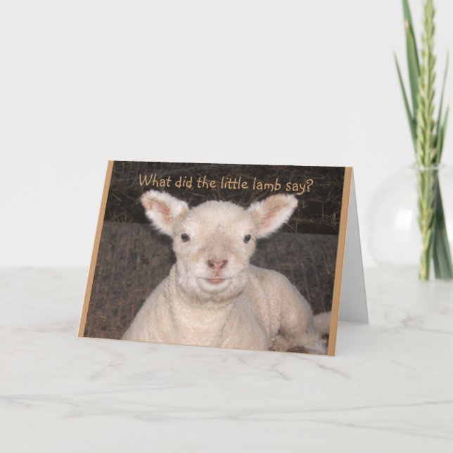 Little Lamb Birthday Card Karte (Vorderseite)