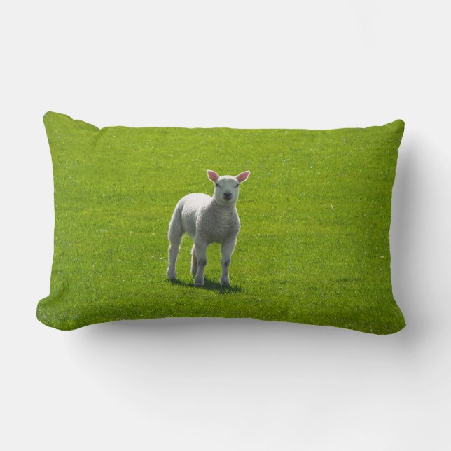 Little Lamb Lendenkissen (Vorderseite)