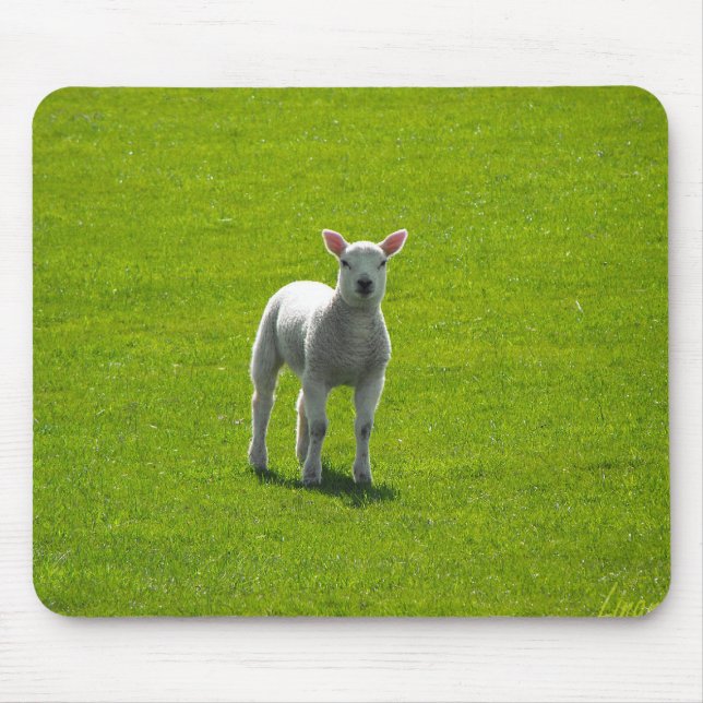 Little Lamb Mousepad (Vorne)