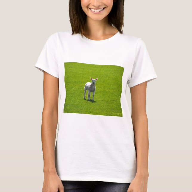 Little Lamb T-Shirt (Vorderseite)