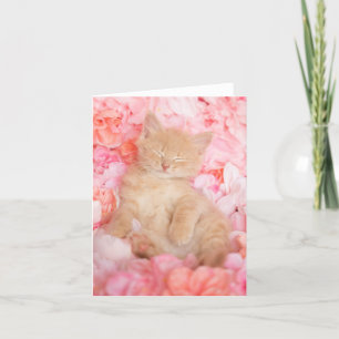 Little Linus Pink Blank Notecard Karte