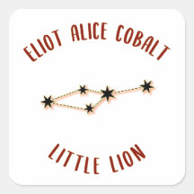 Little Lion
