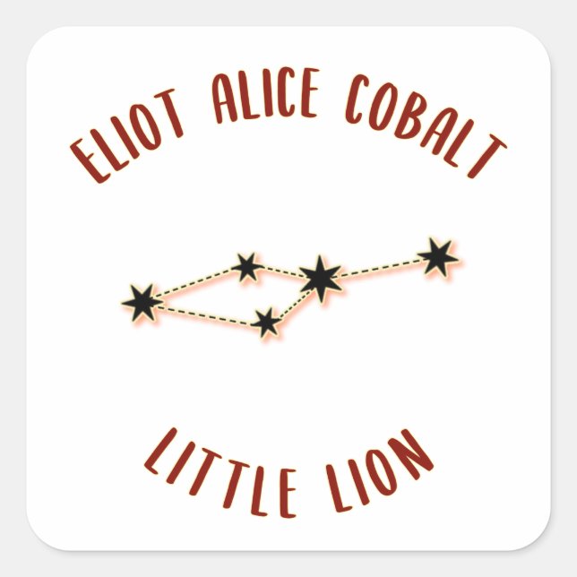 Little Lion Quadratischer Aufkleber (Vorderseite)