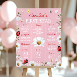 Little Love Bug Ladybug Birthday Milestone Sign Poster