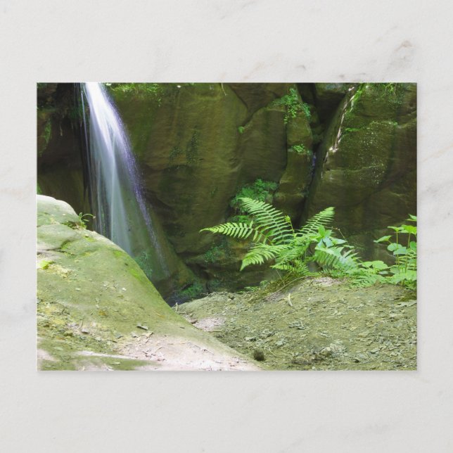 Little Lyons Falls, Mohican Staat Park, Ohio Postkarte (Vorderseite)