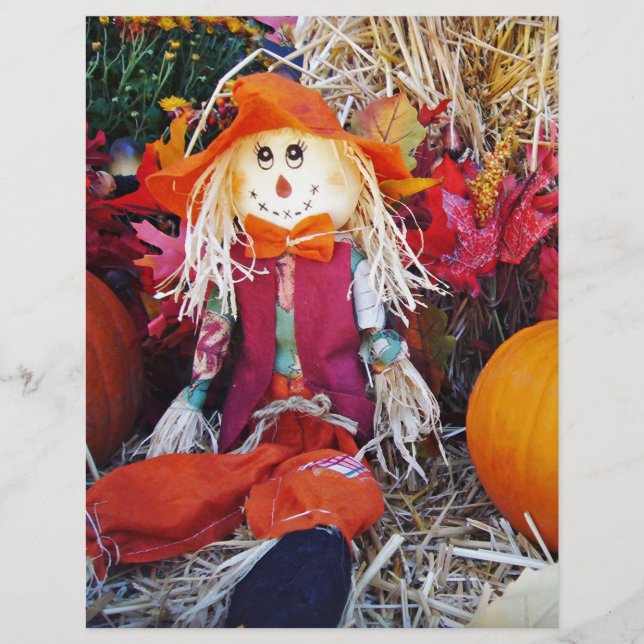 Little Mister Scarecrow (Vorderseite)