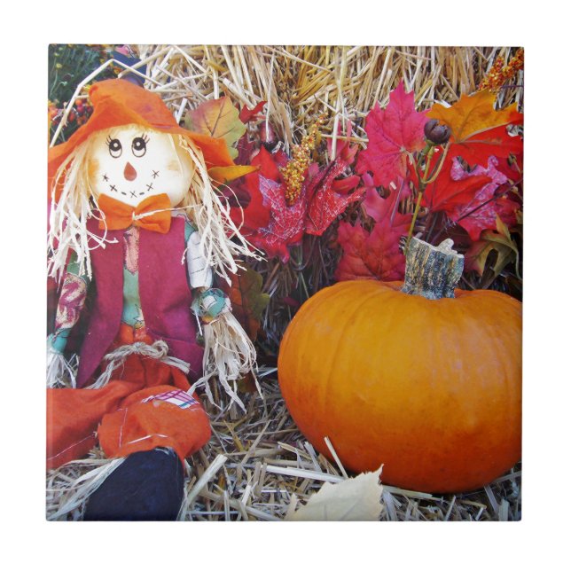 Little Mister Scarecrow Fliese (Vorderseite)